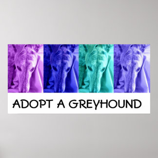 Mx4 Adoptiere ein Greyhound Poster