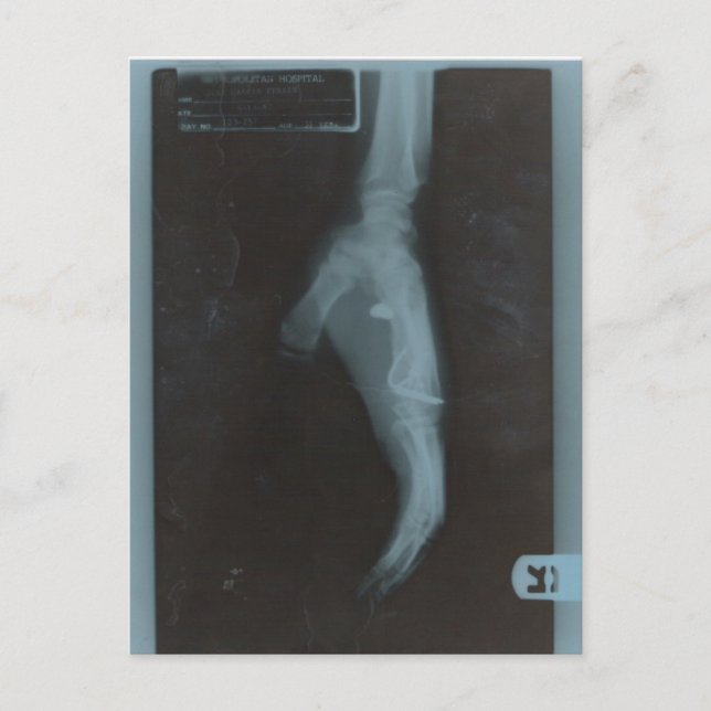 MY22BULLET POSTKARTE (Vorderseite)