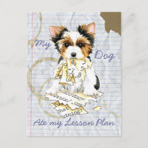 My Biewer Terrier Ate My Lesson Plan Postkarte