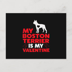 My Boston Terrier Is My Valentine Boston Terrier Feiertagspostkarte