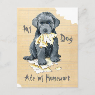 My Bouvier des Flandres Ate My Hausaufgaben Postca Postkarte