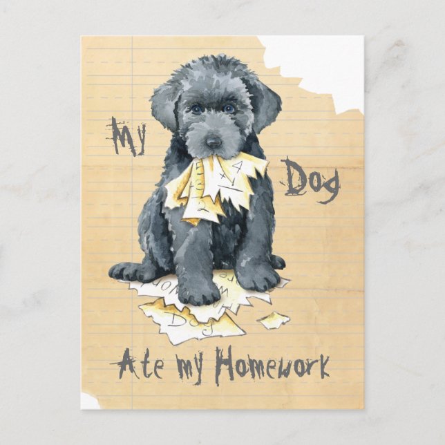 My Bouvier des Flandres Ate My Hausaufgaben Postca Postkarte (Vorderseite)