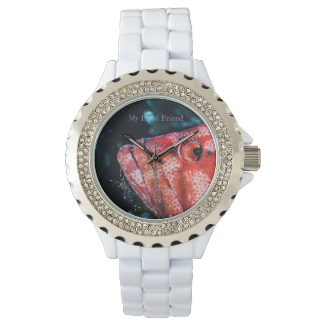 My Brest Friend, pretty fish and little shrimp Armbanduhr (Vorderseite)