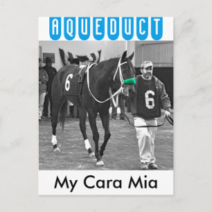 My Cara Mia Postkarte