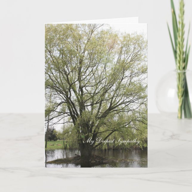 My Deepest Sympathy Karte (Vorderseite)