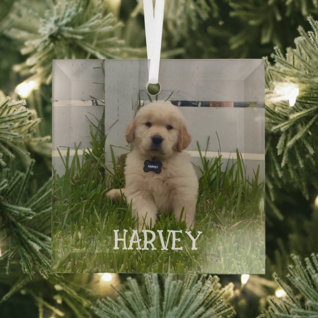 My Dog Photo Christmas Ornament Aus Glas (Insitu)