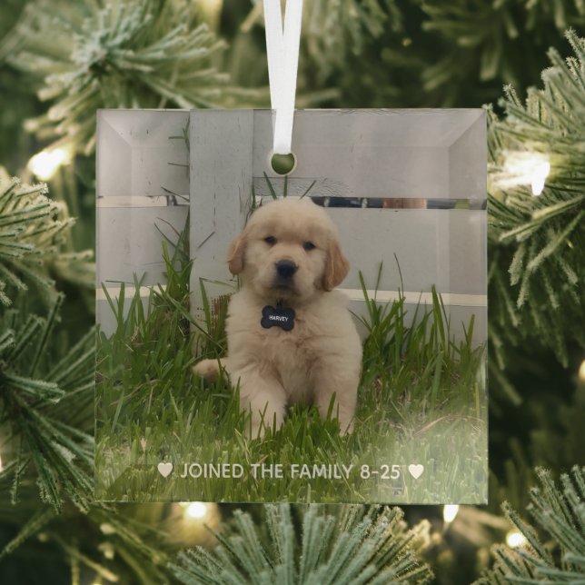 My Dog Photo Christmas Ornament Aus Glas (Insitu)