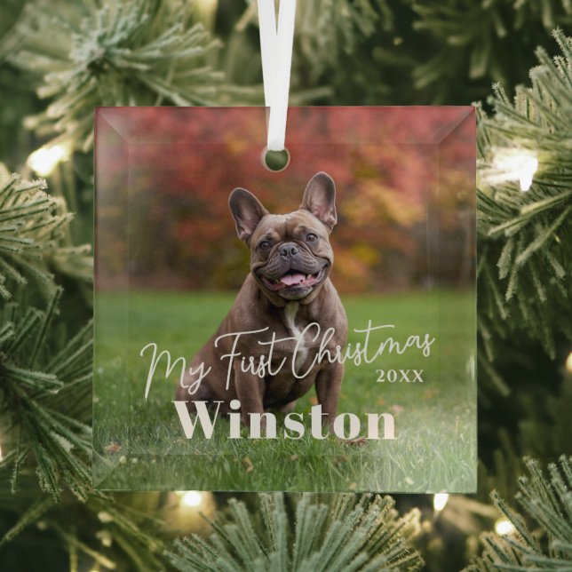 My First Christmas Custom Pet Name Photo Ornament Aus Glas (Insitu)