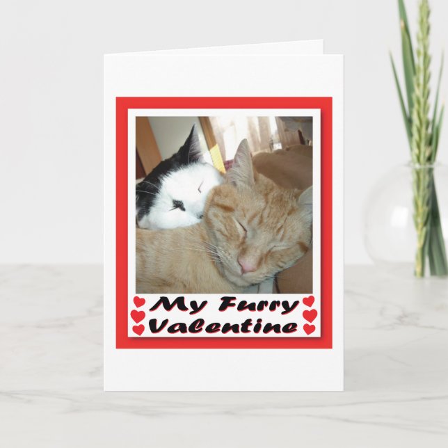 My Furry Valentine Feiertagskarte (Vorderseite)