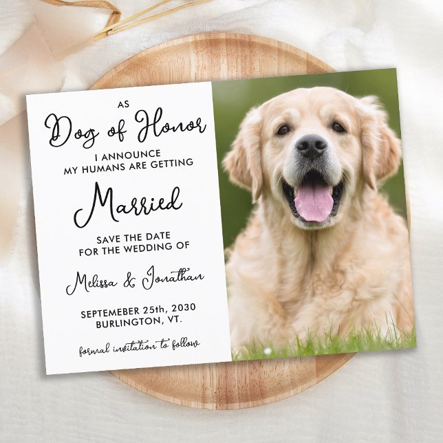 My Humans Are Getting Married Custom Dog Wedding Ankündigungspostkarte (Von Creator hochgeladen)