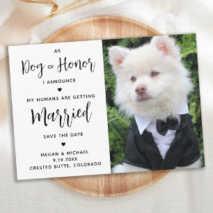 My Humans Are Getting Married - Dog Wedding Save The Date