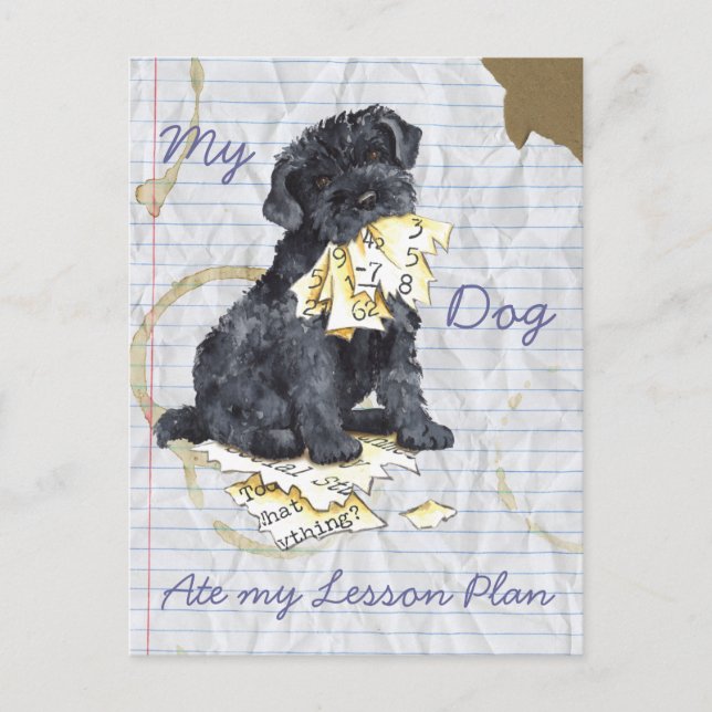 My Kerry Ate My Lessingplan Postkarte (Vorderseite)