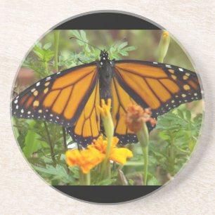 My Monarch Butterfly-coaster Sandstein Untersetzer