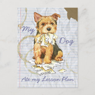 My Norwich Terrier Ate my Lessingplan Postkarte