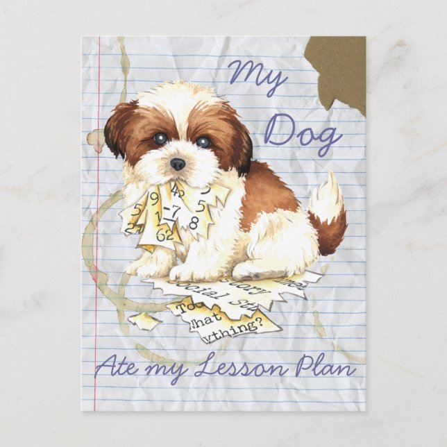 My Shih Tzu Ate my Lessingplan Postkarte (Vorderseite)