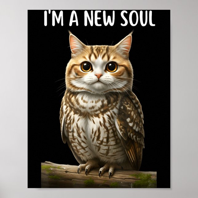 My Srit Animal Funny Meowl, Cursed Cat Owl Brainro Poster (Vorne)