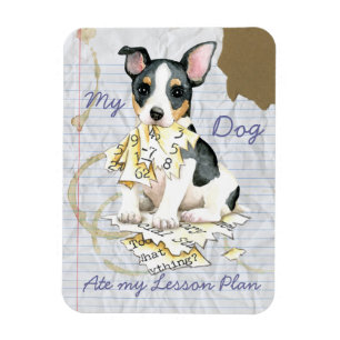 My Teddy Roosevelt Terrier Ate My Lektion Plan Magnet