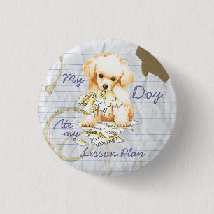 My Toy Poodle Ate my Lektion Plan Button