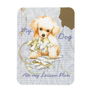 My Toy Poodle Ate my Lektion Plan Magnet