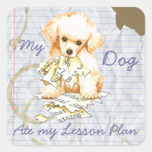 My Toy Poodle Ate my Lektion Plan Quadratischer Aufkleber