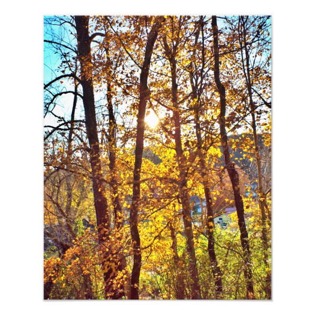 my view fotodruck (Vorne)