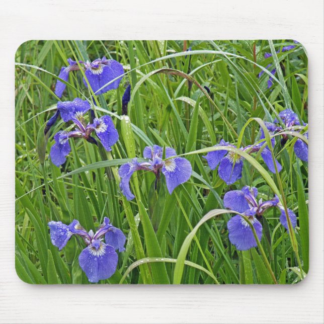 My Wild Iris Mousepad (Vorne)