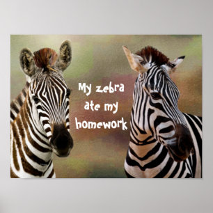 My Zebra Ate Meine Hausaufgaben-Klassenzimmer-Post Poster