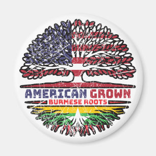 Myanmar Birma/Myanmar USA USA Vereinigte Staaten Magnet