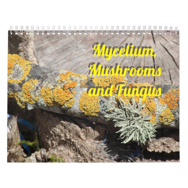 Mycelium, Mushrooms and Fungus Kalender (Titelbild)