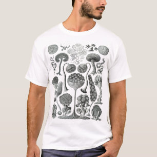 Mycetozoa - Kunstformen der Natur (1904) von Ernst T-Shirt