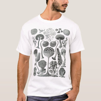 Mycetozoa - Kunstformen der Natur (1904) von Ernst T-Shirt