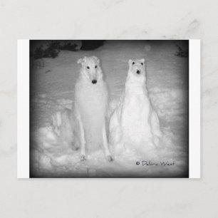 Mychtar und Snowdog ! :) Postkarte