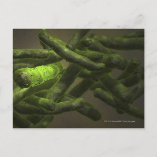 Mycobacterium tuberculosis cells postkarte