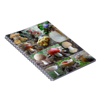 MycoJournal Notizblock