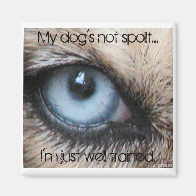 Mydogs nicht verdirbt, ich bin einfach gut ausgebi magnet (Vorne)