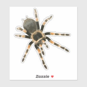 Mygale Spinne Aufkleber