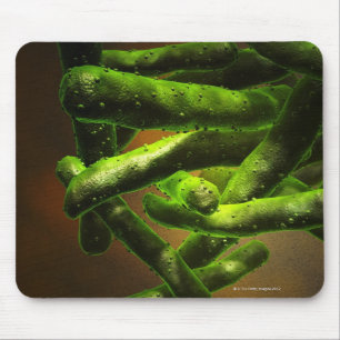 Mykobakterium-Tuberkulose Mousepad