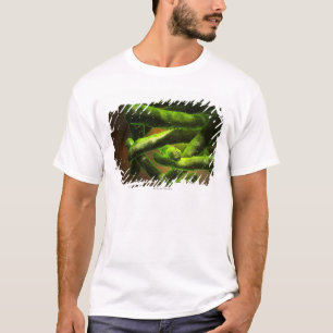 Mykobakterium-Tuberkulose T-Shirt