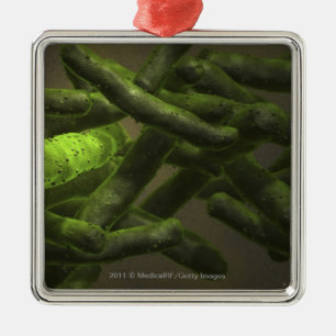 Mykobakteriumtuberkulosezellen Silbernes Ornament