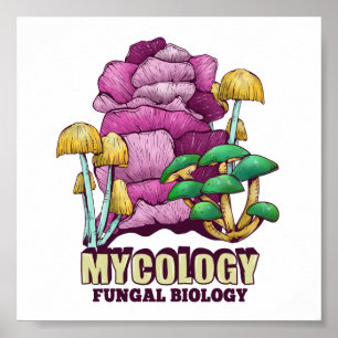 Mykologie Pilzbiologie Poster