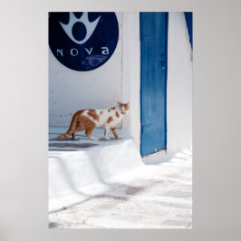 Mykonos cat - Poster