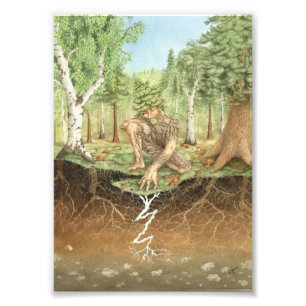 Mykorrhizalpilz Fotodruck