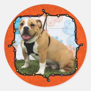 Mylo - English Bulldog Runder Aufkleber