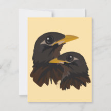 Myna Birds