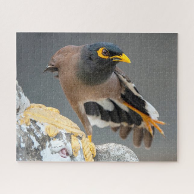 Myna Puzzle (Horizontal)