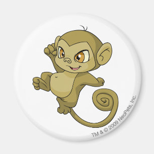Mynci Brown Magnet