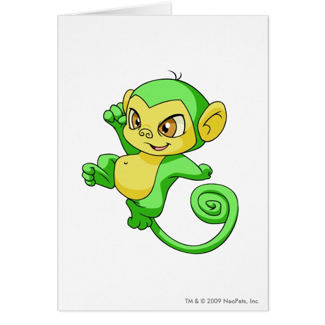 Mynci Grün (Vorne)