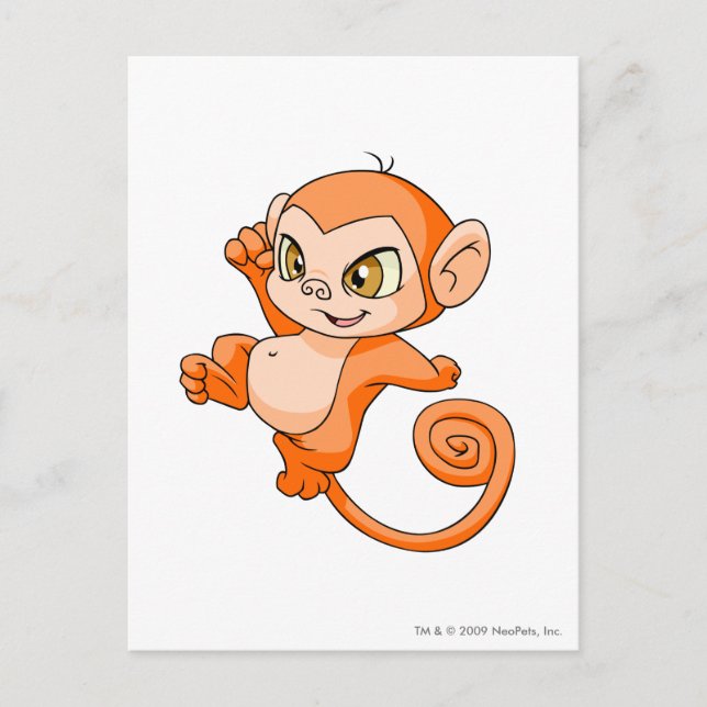 Mynci Orange Postkarte (Vorderseite)