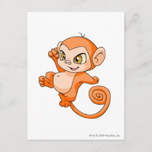 Mynci Orange Postkarte