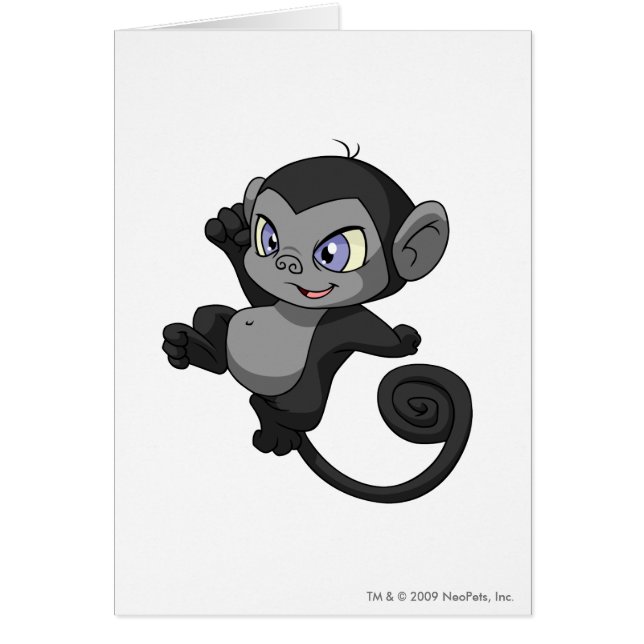 Mynci Schatten (Vorne)